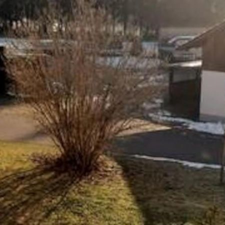 Ferienwohnung Zur Dicken Berta Wolfegg Экстерьер фото