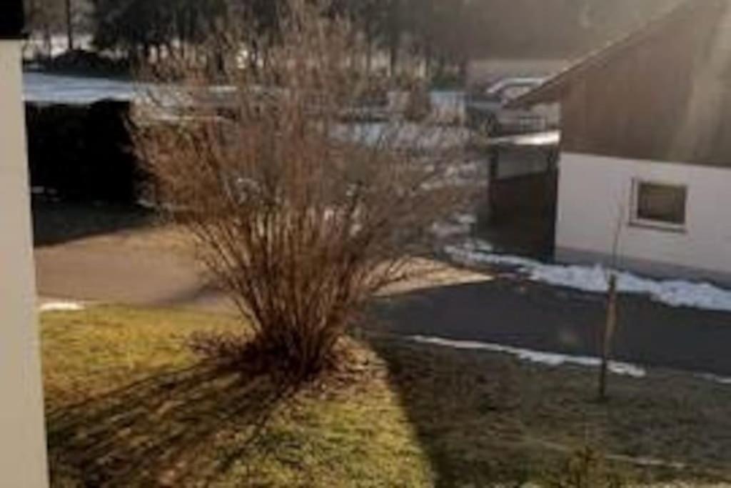 Ferienwohnung Zur Dicken Berta Wolfegg Экстерьер фото